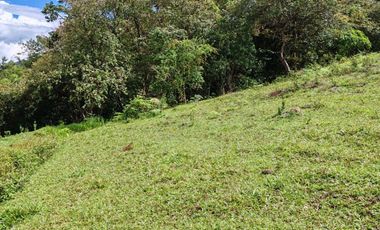 Finca en Guaca Santander a 3 cuadras del casco urbano