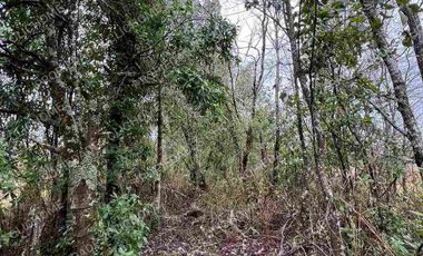 PARCELA CUNCO 5.000 mts2 CERCA LAGO COLICO TEMUCO Rol Propio