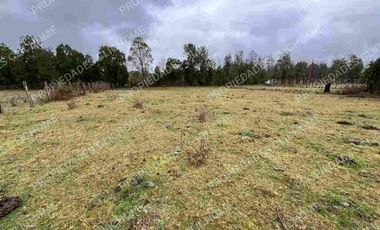 PARCELA CUNCO 5.000 mts2 CERCA LAGO COLICO TEMUCO Rol Propio
