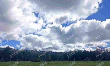 PARCELA CUNCO 5.000 mts2 CERCA LAGO COLICO TEMUCO Rol Propio