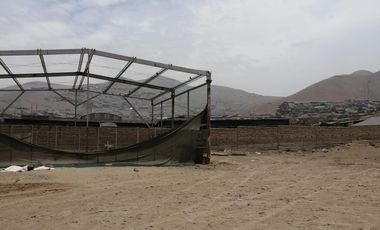 VENDO TERRENO PARA INDUSTRIA / ALMACEN EN PARQUE PORCINO VENTANILLA