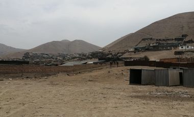 VENDO TERRENO PARA INDUSTRIA / ALMACEN EN PARQUE PORCINO VENTANILLA