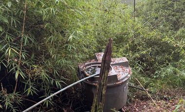 Vendo campo de 7 Hectaria a oríllala del Rio cruce