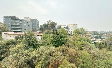 Departamento en renta en Av Reforma Lomas de Bezares en Lomas Altas