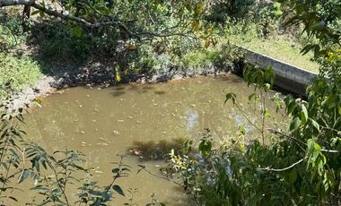 RANCHO EN VENTA LAS CHOAPAS VERACRUZ