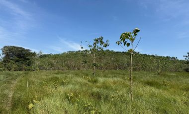 RANCHO EN VENTA LAS CHOAPAS VERACRUZ