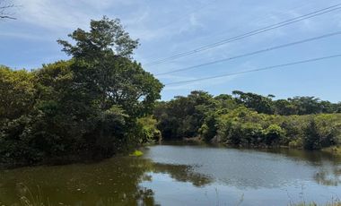 RANCHO EN VENTA LAS CHOAPAS VERACRUZ