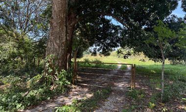 RANCHO EN VENTA LAS CHOAPAS VERACRUZ