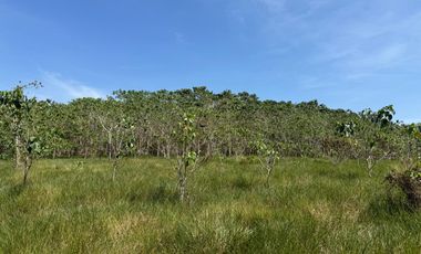 RANCHO EN VENTA LAS CHOAPAS VERACRUZ