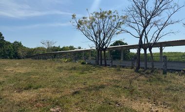 RANCHO EN VENTA LAS CHOAPAS VERACRUZ