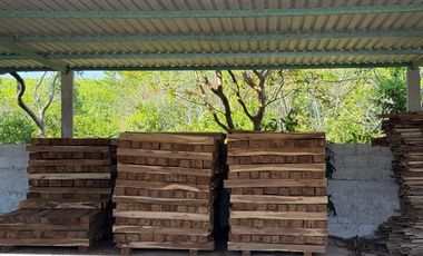 RANCHO EN VENTA LAS CHOAPAS VERACRUZ