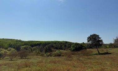 RANCHO EN VENTA LAS CHOAPAS VERACRUZ