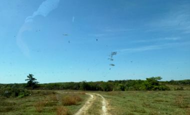 RANCHO EN VENTA LAS CHOAPAS VERACRUZ