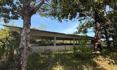 RANCHO EN VENTA LAS CHOAPAS VERACRUZ