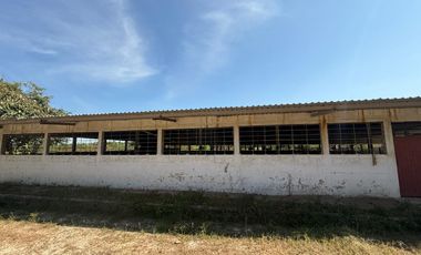 RANCHO EN VENTA LAS CHOAPAS VERACRUZ