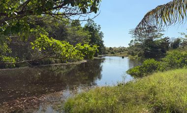 RANCHO EN VENTA LAS CHOAPAS VERACRUZ