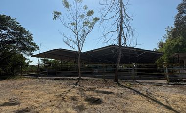 RANCHO EN VENTA LAS CHOAPAS VERACRUZ