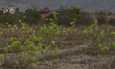 Se Vende Terreno en Azpitia