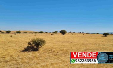 VENTA PARCELAS  MARCHIGUE VENTA,
SECTOR LOS TRONCOS 2, 
100% Planas
📣$16.000.000📣Oportunidad Contado