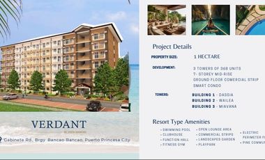 Own a piece of Property located in Palawan