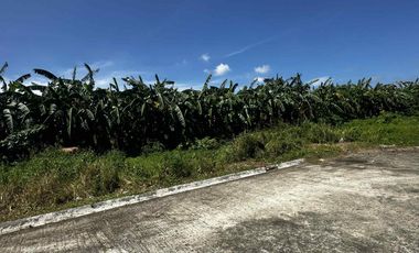 Small Residential Lot along national road, exclusive village in Amadeo Cavite