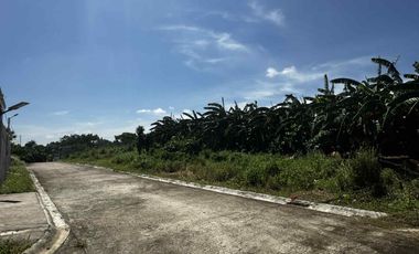 Small Residential Lot along national road, exclusive village in Amadeo Cavite