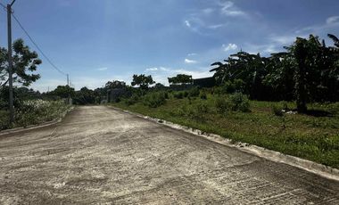 Small Residential Lot along national road, exclusive village in Amadeo Cavite