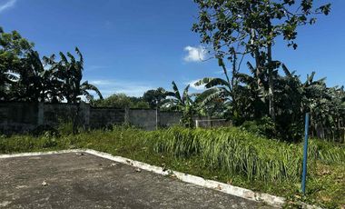Small Residential Lot along national road, exclusive village in Amadeo Cavite