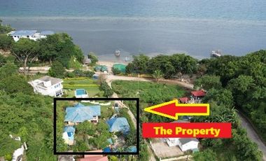 Carribean-Mexican Inspired Beach house at Calatagan, Batangas with pool  few meters from beach