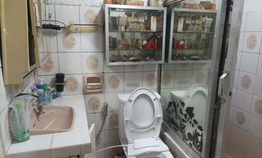 Residential Lot with old house,  Makati lot, Brgy. Palanan