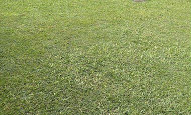 Residential Lot for sale in B. F. Homes, Parañaque City