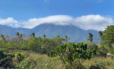 Mountain View Lot un Dauin