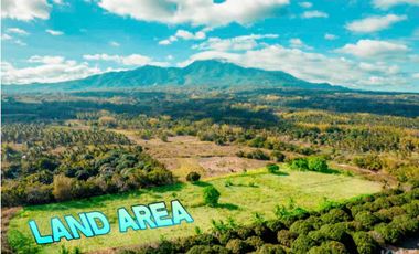 Mountain View Lot un Dauin