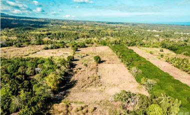 Mountain View Lot un Dauin