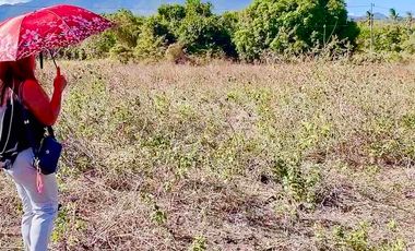 Mountain View Lot un Dauin