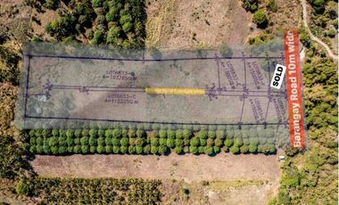 Mountain View Lot un Dauin