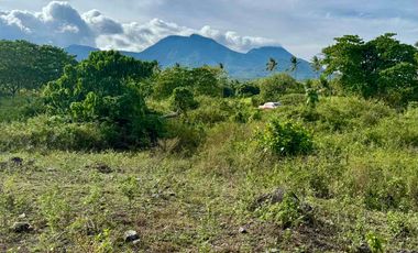 Mountain View Lot un Dauin