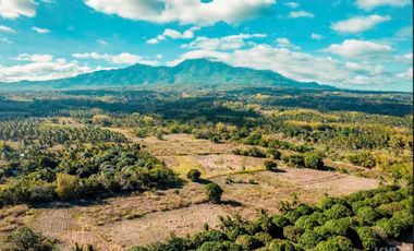 Mountain View Lot un Dauin