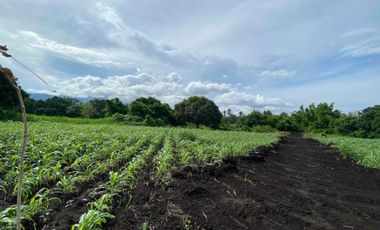 Mountain View Lot un Dauin