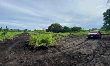 Mountain View Lot un Dauin