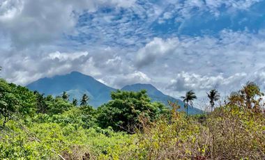 Mountain View Lot un Dauin