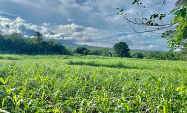 Mountain View Lot un Dauin