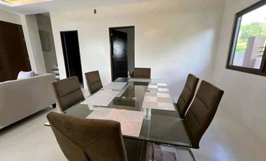 Fully furnished Brand new single house for sale with pool in Talamban Cebu City