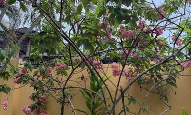 RUSH SALE PRICE MARKDOWN HOUSE AND LOT FULLY FURNISHED with Swimming Pool in Baclayon Bohol