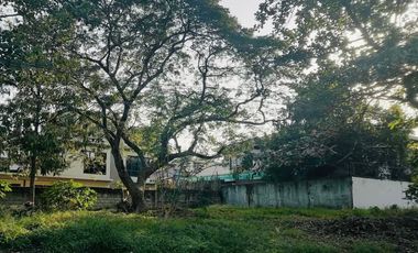 San Jose Village, Alabang, Muntinlupa,  Lot For Sale