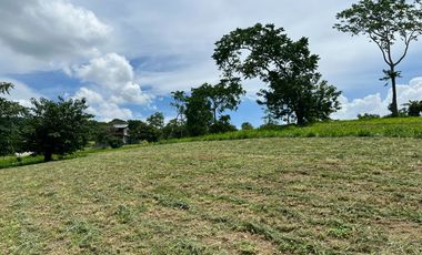 Ayala Greenfield Estates Lot with Awesome Laguna Lake and Mt Makiling views
