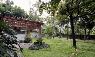 Classic Spanish Filipino Home For Sale with Expansive lot in Angeles City Pampanga
