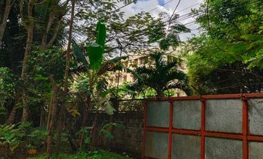 Prime Agricultural Lot For Sale