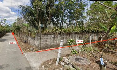 Prime Agricultural Lot For Sale