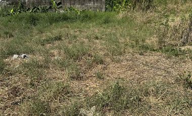 Lots for sale at Villa Benita Sub. Phase 2 near SM and S&R Cabanatuan City